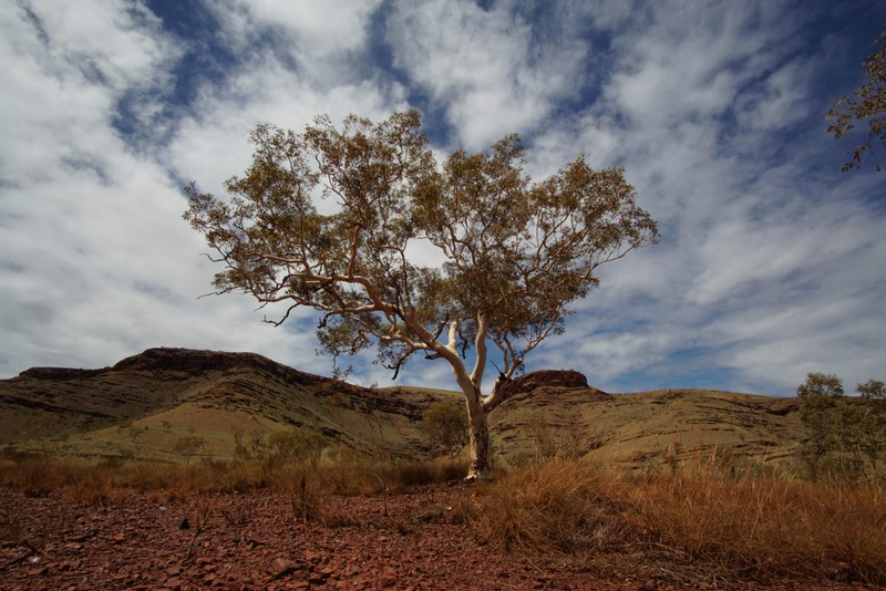Illustration for article titled AWOL Around Australia... The Pilbara. Part 2
